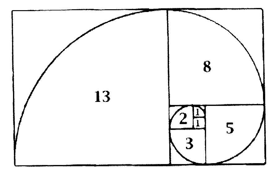 Image result for fibonacci