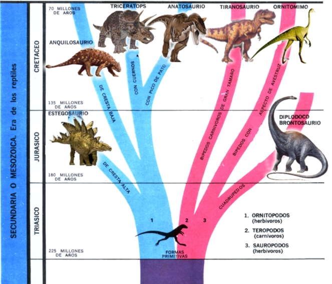 tabla evolucion dinosaurios