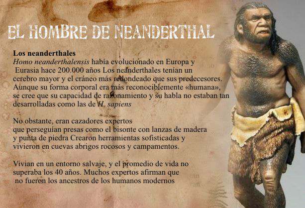 El Hombre de Neandertal, Cro-Magnon y el Hombre de Java – BIOGRAFÍAS e  HISTORIA UNIVERSAL,ARGENTINA y de la CIENCIA