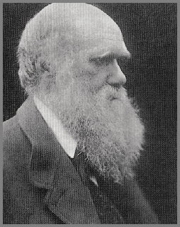 Cartas Historicas Testimonios Historicos Darwin escriba a Wallace