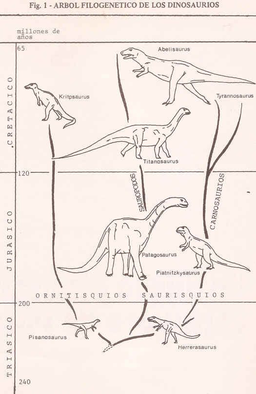 evolucion de los dionosaurios
