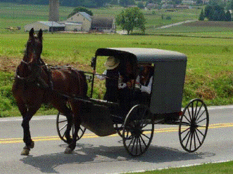los Amish