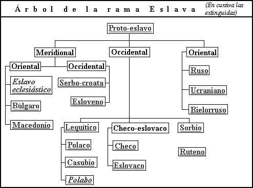 Lenguas eslavas y romanicas El Latin