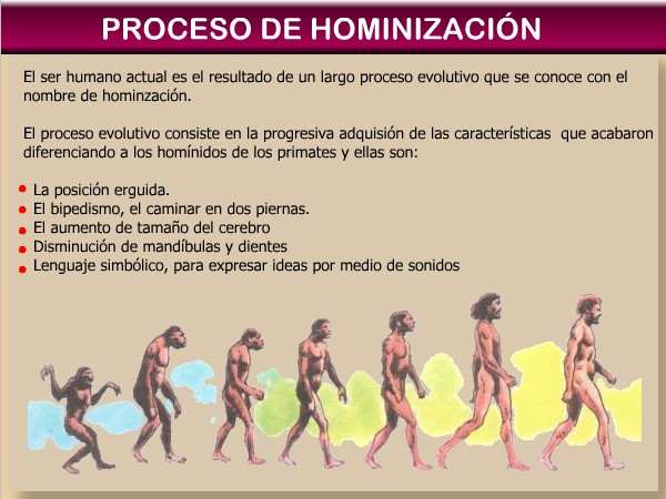 proceso de hominizacion