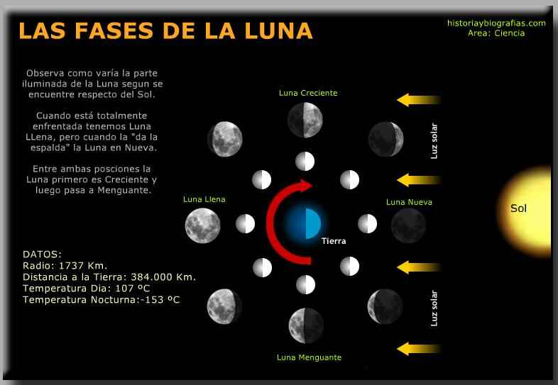 las fases de la luna