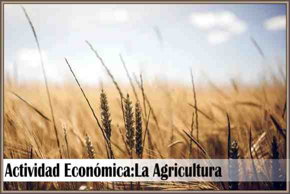 El Sector Primario en la Economia de un Pais: Agricultura,Ganaderia y Pesca