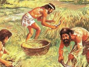 LA AGRICULTURA PRIMITIVA