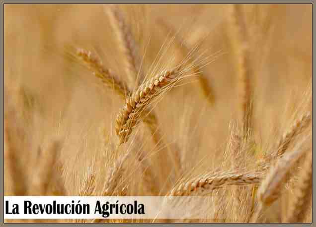 Consecuencias de la Revolucion Agricola en el Siglo XIX-Nuevas Tecnicas