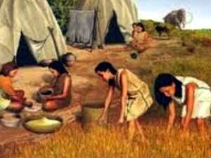 Agricultura