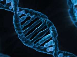 Descubrimiento del ADN