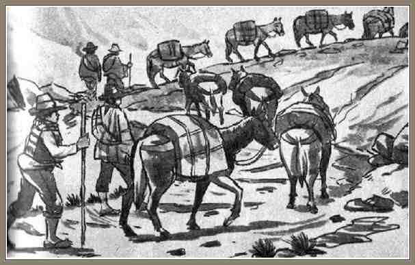 ruta de las mular-arrieros en america colonial
