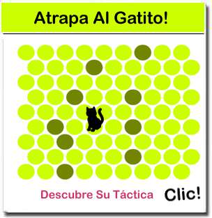 Juego Atrapa el Gato