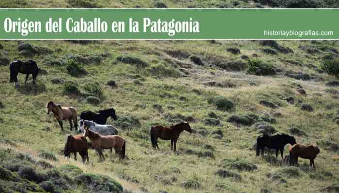Origen del Caballo en la Patagonia:Las Distintas Hipotesis