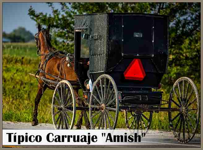 Costumbres de los Amish Forma de Vida