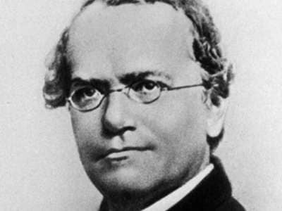 Gregor Mendel