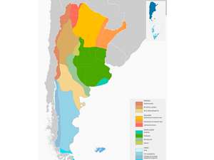 Tipos de Clima