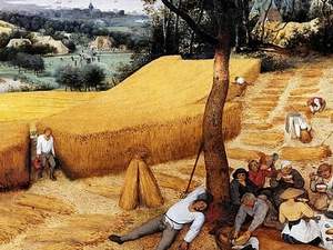 Diferencias entre el Mercantilismo y la Fisiocracia