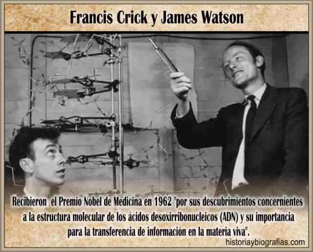 Historia del Descubrimiento de la Estructura del ADN Crick y ...