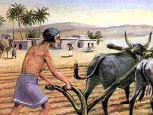 Origen de la Sociedad Humana,Progreso y Características