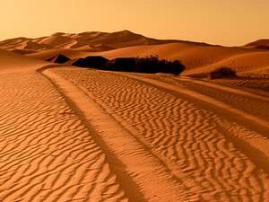 La Vida en el Desierto