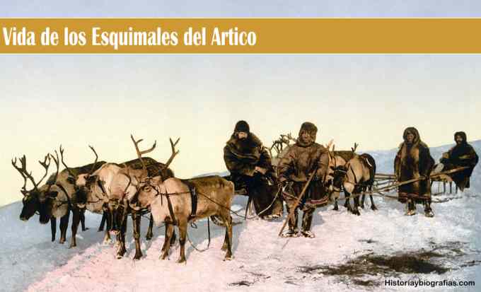 Los Esquimales: La Vida del Hombre en los Polos