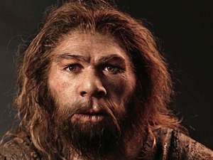 Homo Sapiens Sapiens