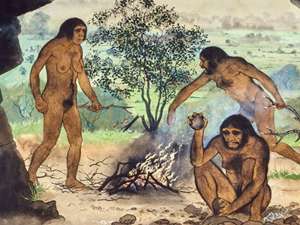 Homo Erectus
