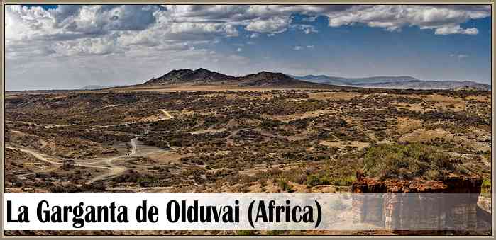 Garganta de Olduvai:Descubrimientos de Restos del Homo Habilis