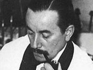 Molina Campos