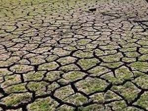 Desertificación del Suelo:Causas,Consecuencias y Concepto