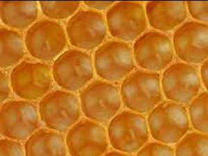 La Geometría de las Abejas