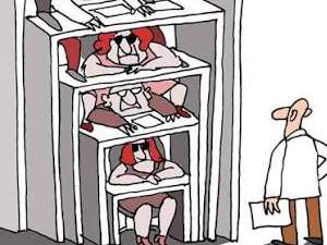 Burocracia Estatal:Concepto Elemental y la Función del Estado