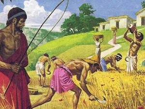Economía Rural y Trabajo Agrícola en Roma Antigua