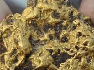 Descubrimiento de Oro en Transvaal
