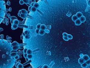 Gripe Asiática: Virus e Historia de la Epidemia