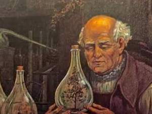Reglas de Paracelso Para Una Vida Sana, Historia