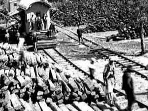Historia de La Forestal:Explotacion Laboral en el Chaco Santafesino