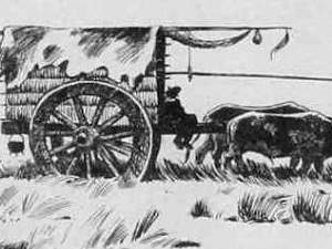 La Historia de la Carreta en Argentina:La Tracción a Sangre