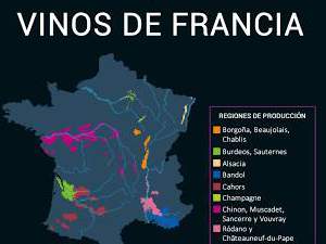 Los Vinos de Francia