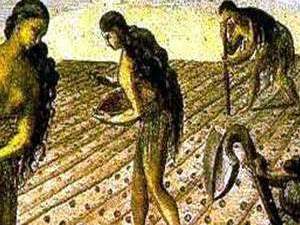 Política Agraria en el Virreinato: Agricultura