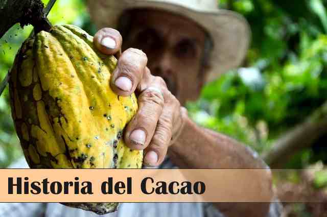 Historia del Cacao:Produccion y Fabricación del Chocolate
