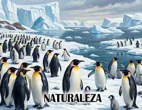 Características de los Pingüinos: Costumbres, Alimentación y Reproducción