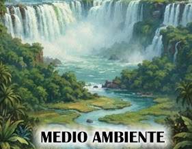 Recursos Hídricos de Argentina: Reserva de Agua Dulce