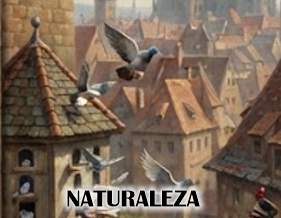 Palomas Más Útiles al Hombre - Costumbres y Características