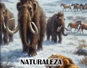 Extinción de la Megafauna: Especies y la Matanza del Pleistoceno