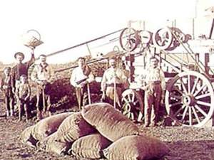 Exportaciones de Granos en 1880