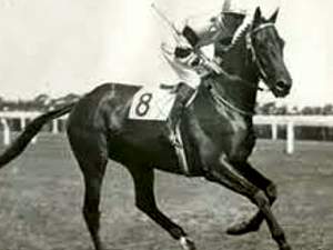 Yatasto El Gran Campeón Hípico Argentino