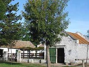 Carta de la Hacienda de Figueroa