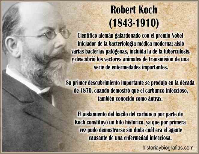 Robert Koch: Historia de sus Descubrimientos, Bacilo Tuberculosis y Antrax – BIOGRAFÍAS e HISTORIA UNIVERSAL,ARGENTINA y de la CIENCIA