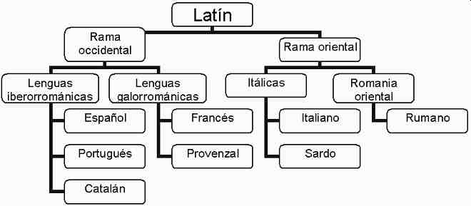 cuadro del origen de las lenguas romances